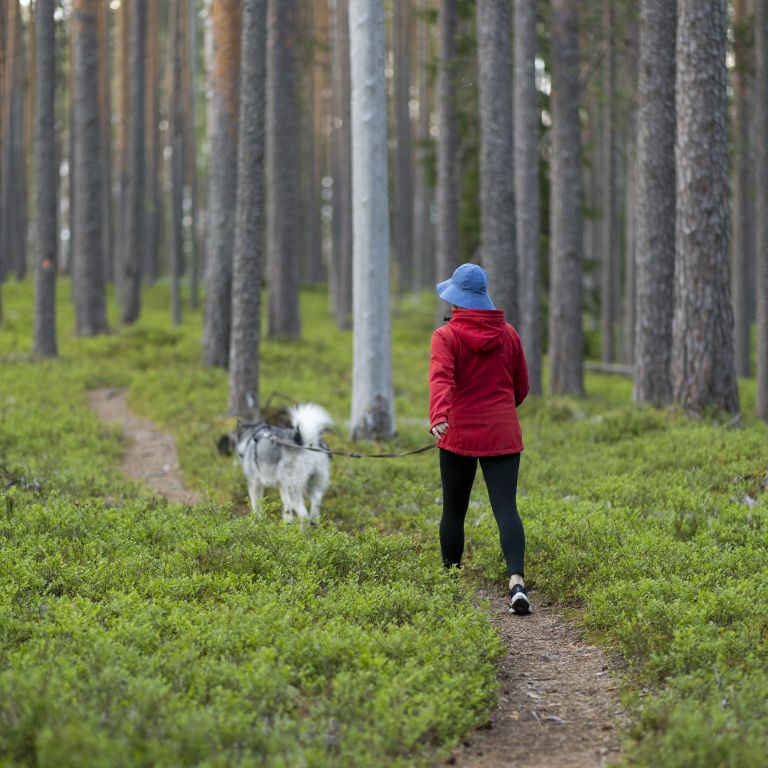 Petkeljärven kansallispuisto