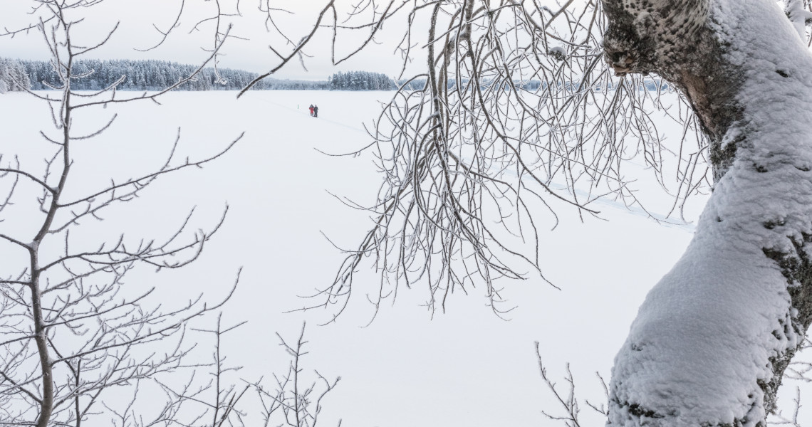 Petkeljärvi nationalpark