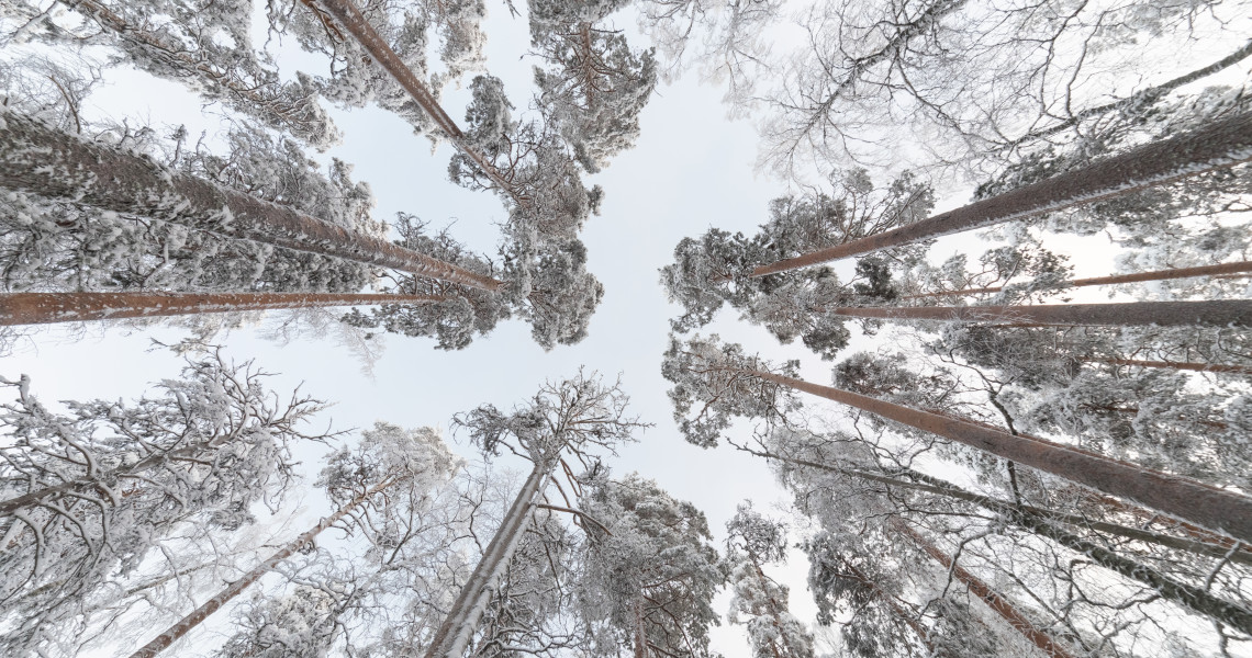 Taivasnäkymä Petkeljärvi