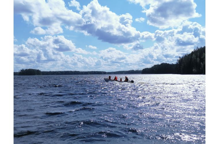 Guided boat trips in Petkeljärvi National Park