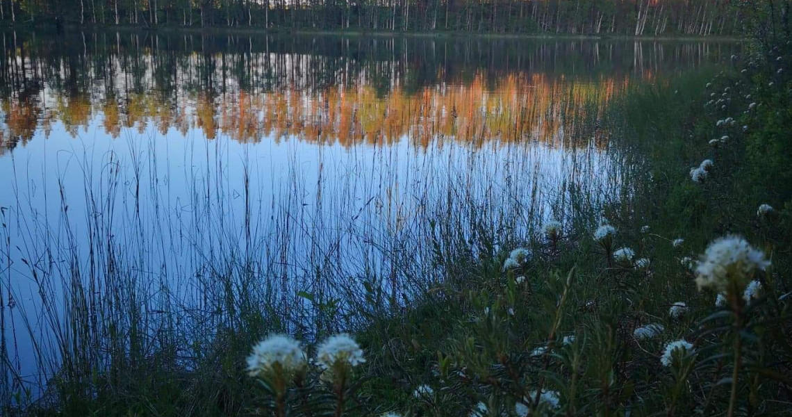 Petkeljärvi kansallispuisto
