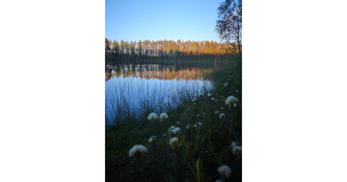 Petkeljärvi kansallispuisto